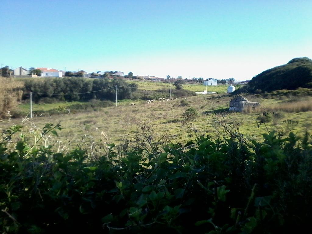 Cozy Country House Near Beaches Azoia  المظهر الخارجي الصورة